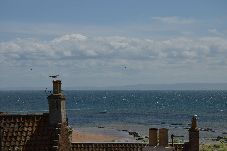 House in Anstruther - Tall Ship, Anstruther