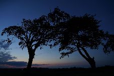 House in Fife - Nature Haven Lodge 30, Stewarts Resort